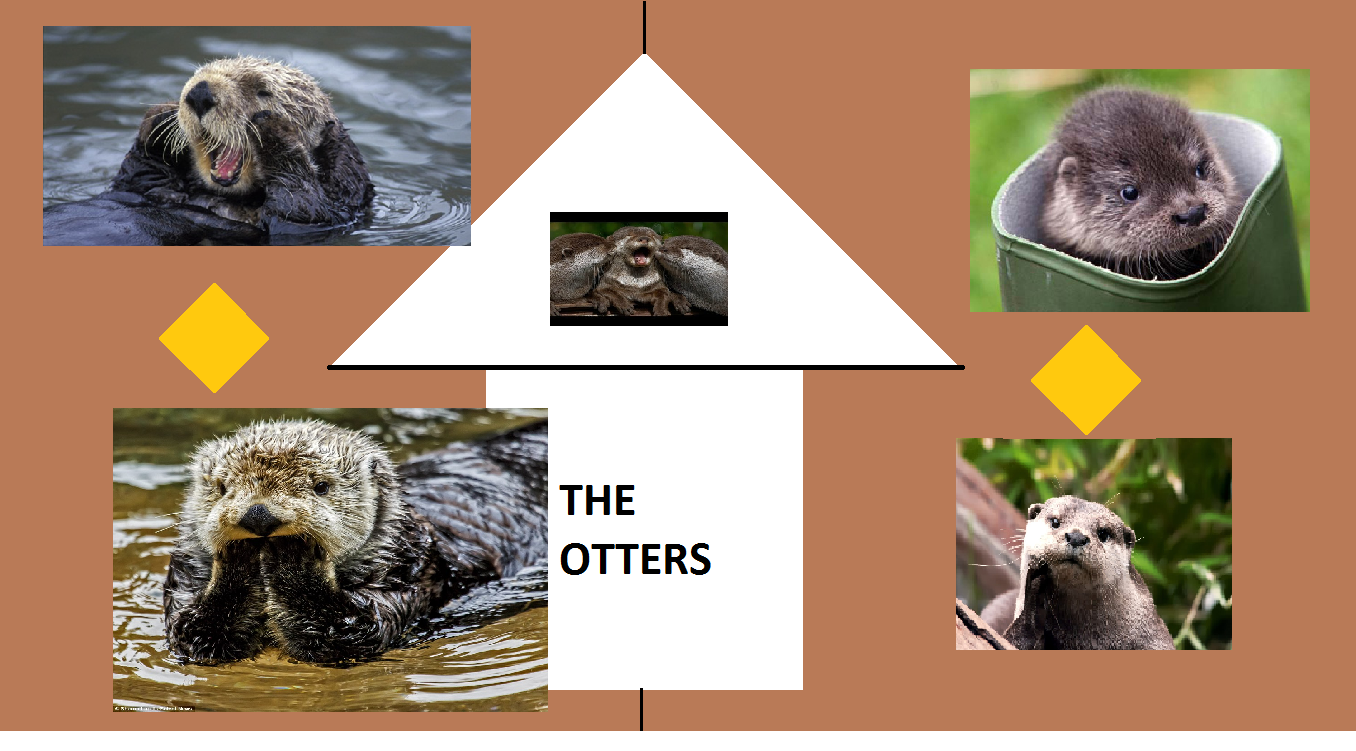 the otters